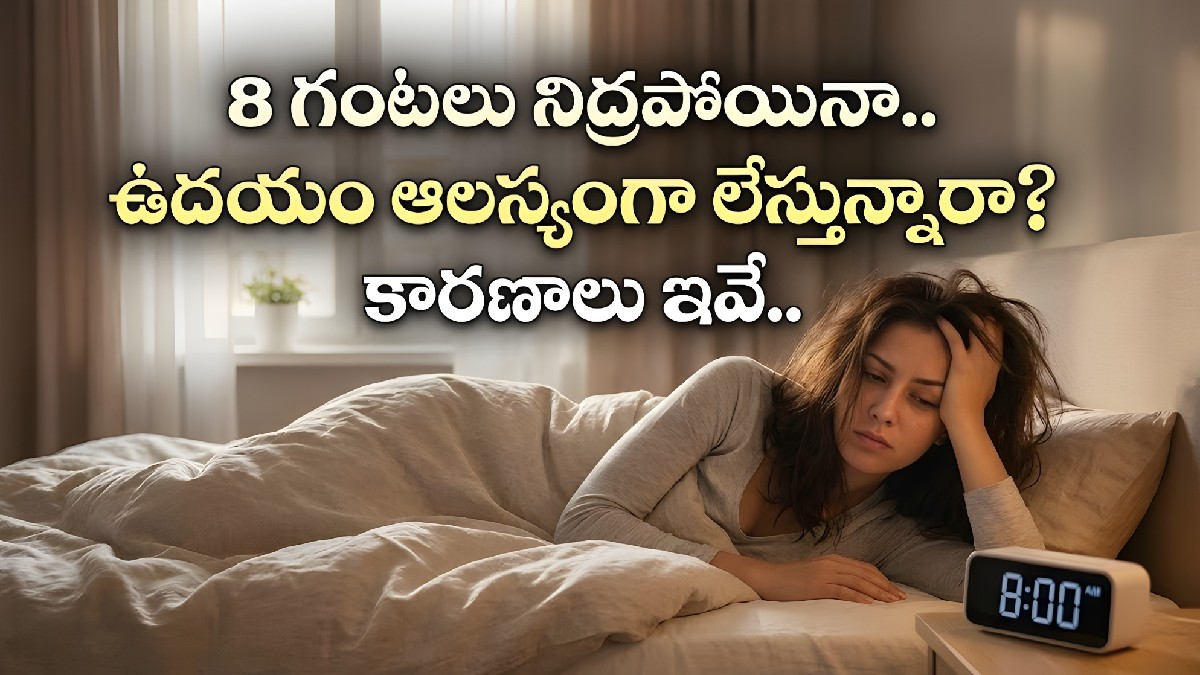 8 గంటలు నిద్రపోయినా.. ఉదయం ఆలస్యంగా లేస్తున్నారా? కారణాలు ఇవే..