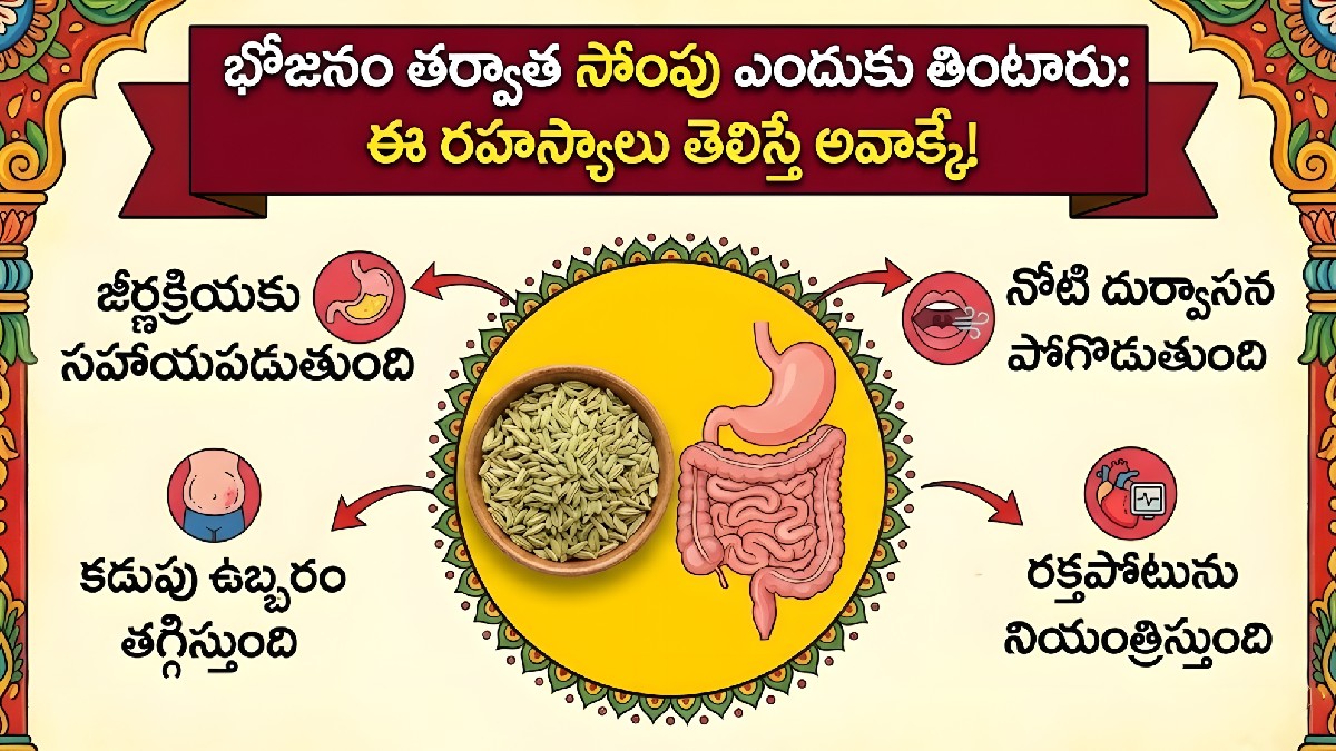 భోజనం తర్వాత సోంపు ఎందుకు తింటారు? వెనుక ఉన్న శాస్త్రం ఇదే