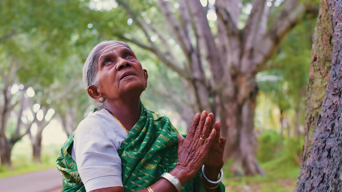 కర్ణాటక యొక్క 'ట్రీ ఉమెన్' సాలుమరద తిమ్మక్క కన్నుమూత — ప్రకృతిని ముద్దుగా చూసిన మహానుభావి